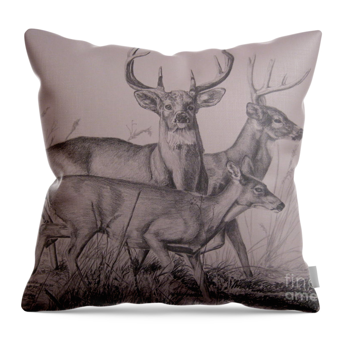 Wildlife Throw Pillow featuring the drawing Trio by John Huntsman
