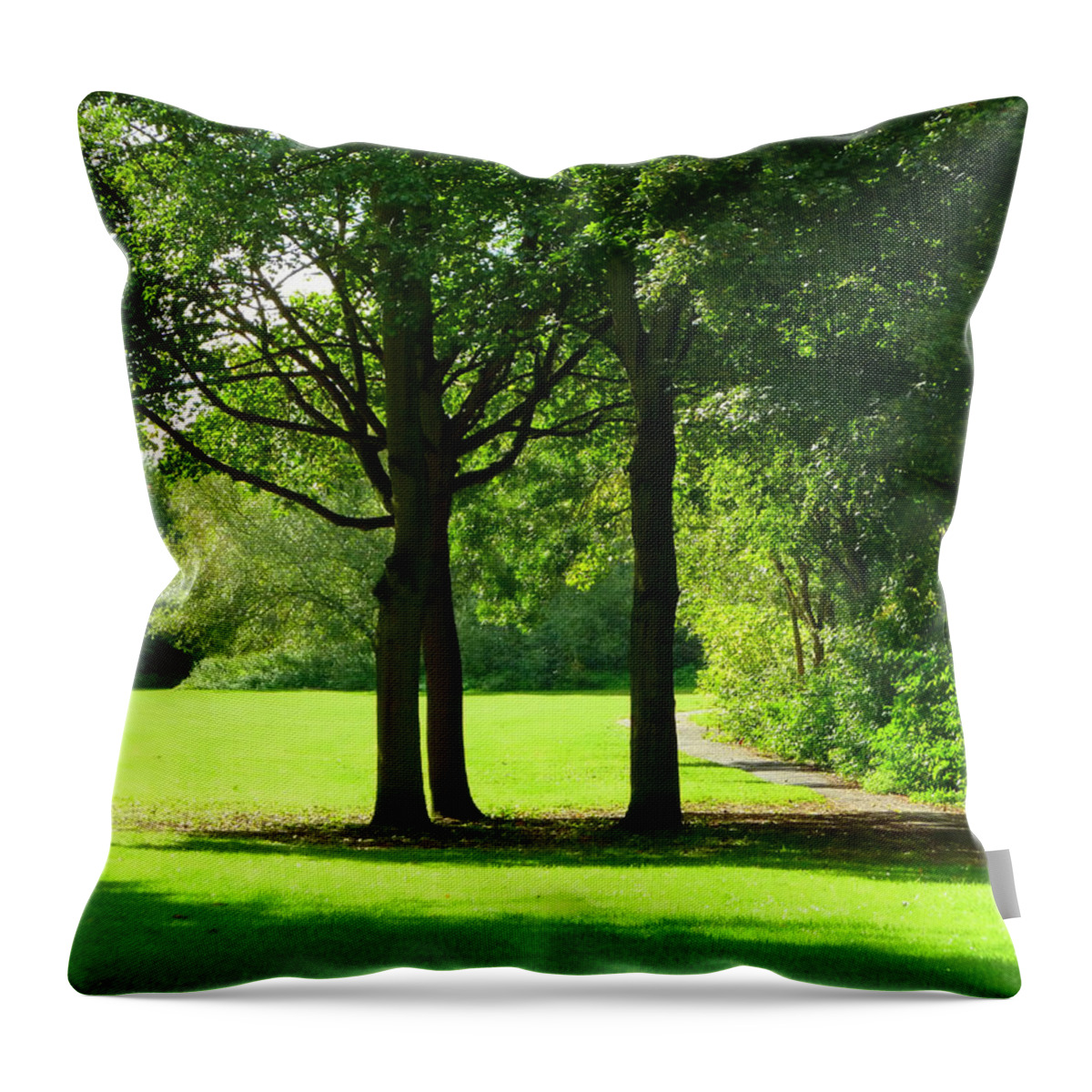 Trees Throw Pillow featuring the photograph Trio of Trees by Gordon James
