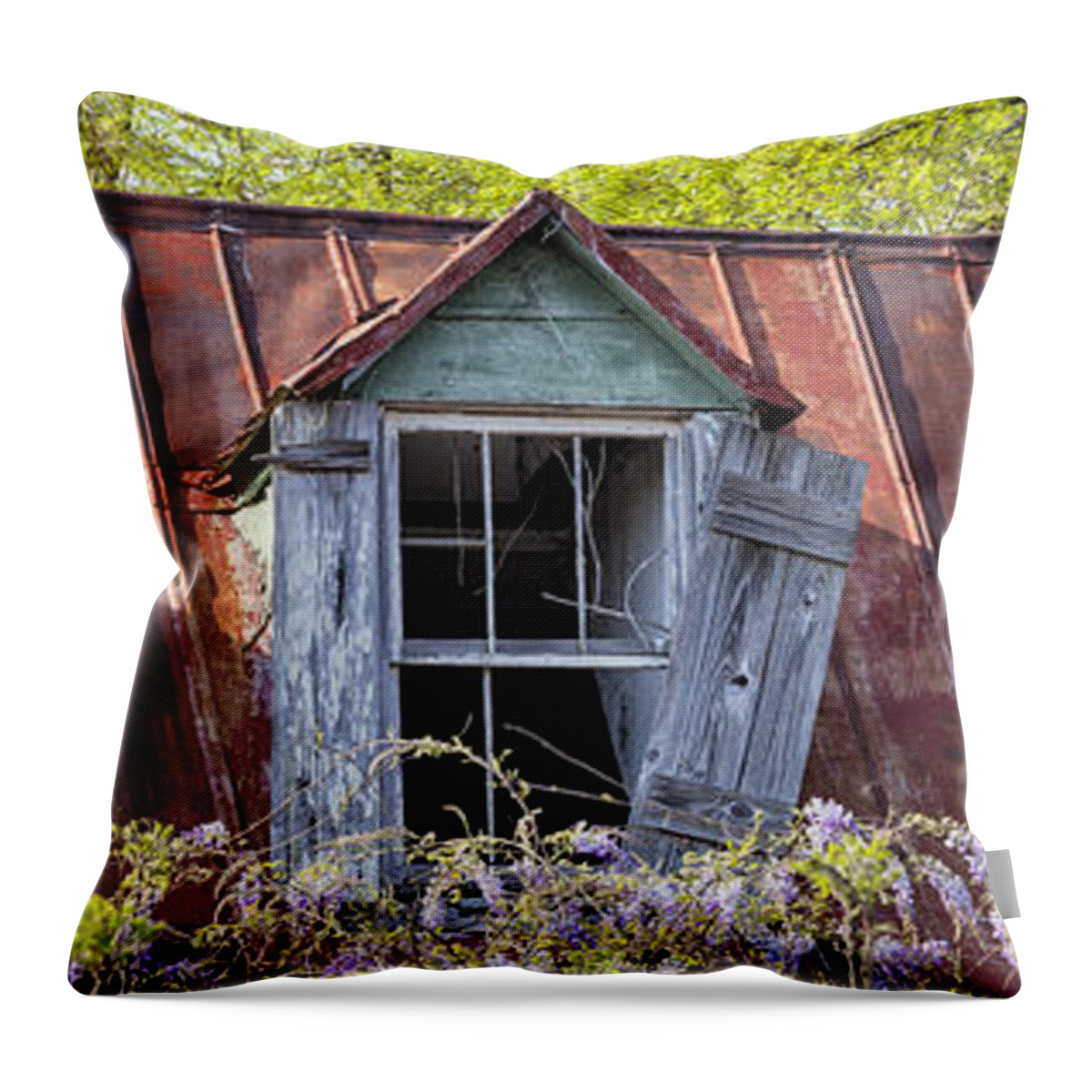 Window Throw Pillow featuring the photograph Triptych Windows by Denise Bush