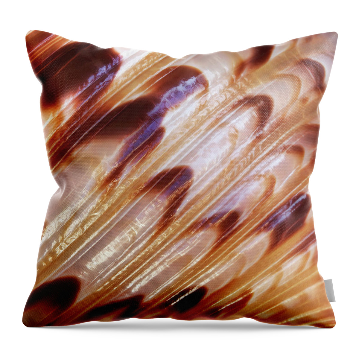 Seashell Abstract Throw Pillow featuring the photograph Triton Seashell Abstract by Gill Billington