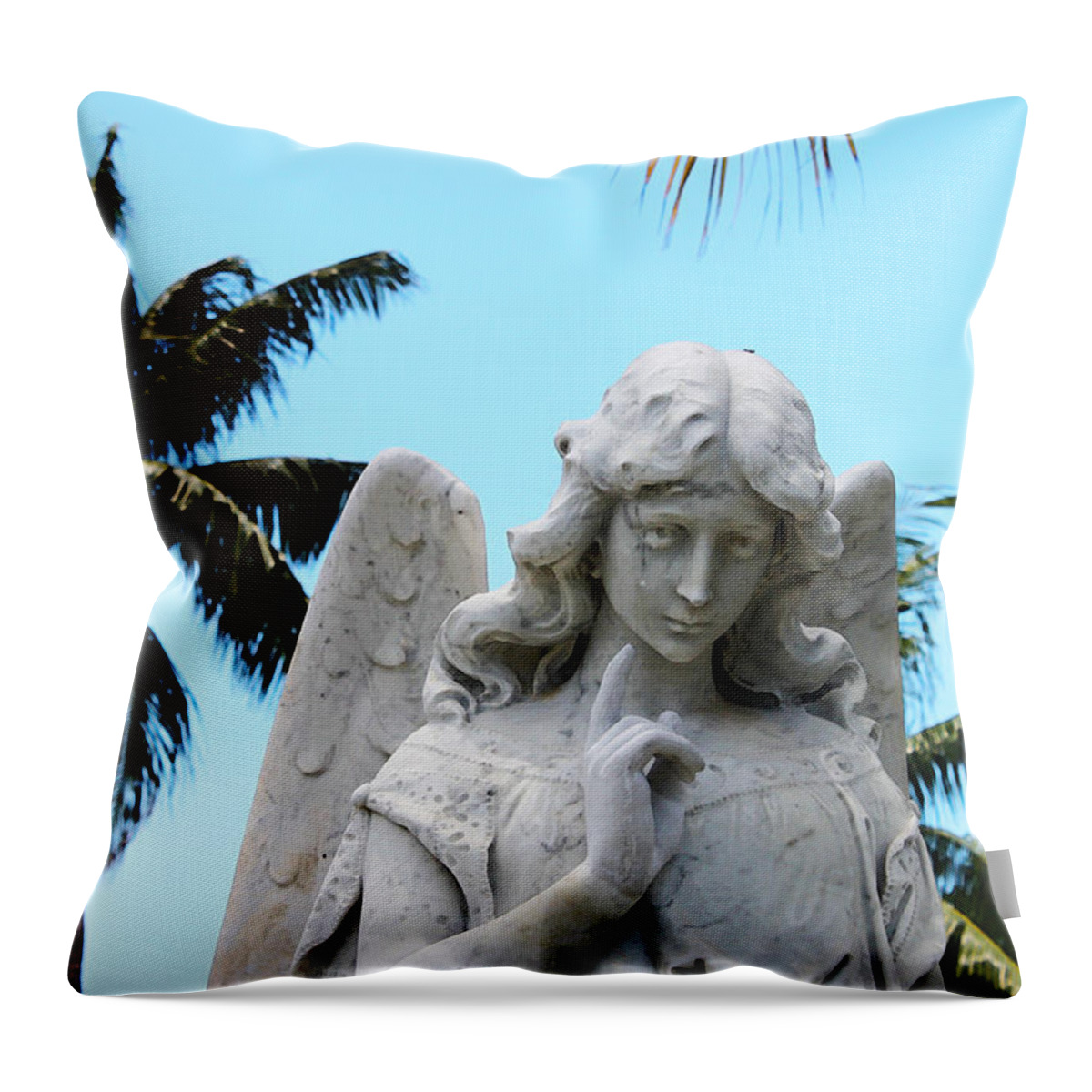 Susan Vineyard Throw Pillow featuring the photograph Tropical Angel With Tear by Susan Vineyard