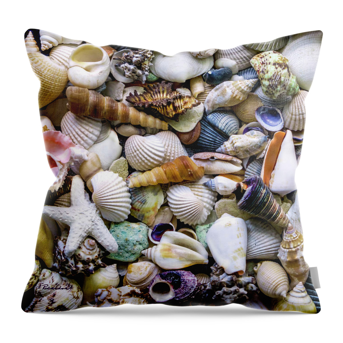 1500a Throw Pillow featuring the photograph Tropical Beach Seashell Treasures 1500A by Ricardos Creations