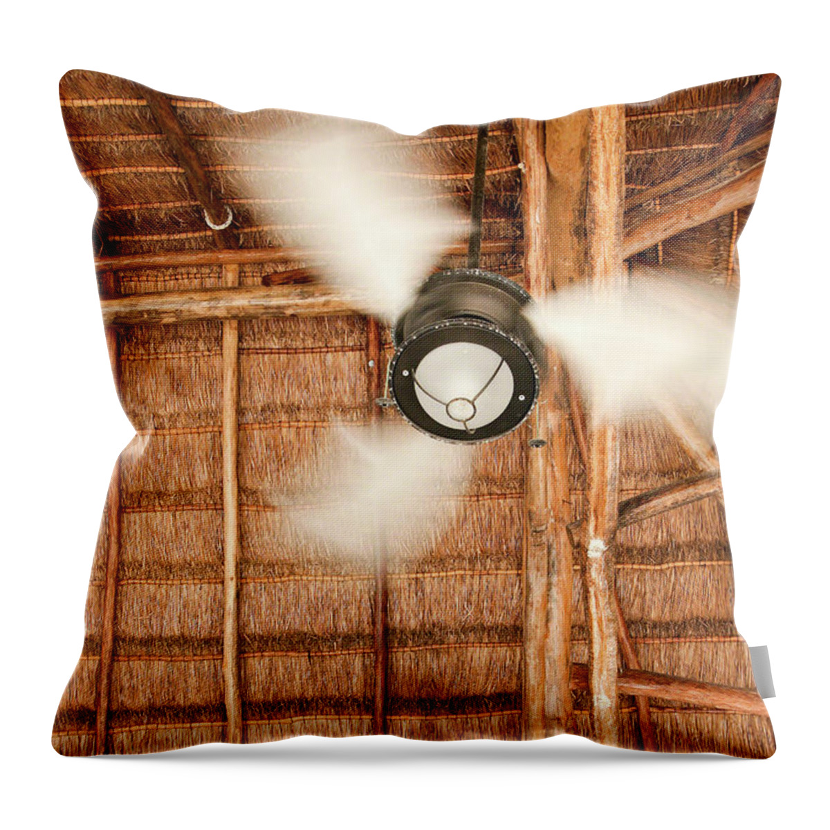Tropical Throw Pillow featuring the photograph Tropical Fan by Riccardo Forte