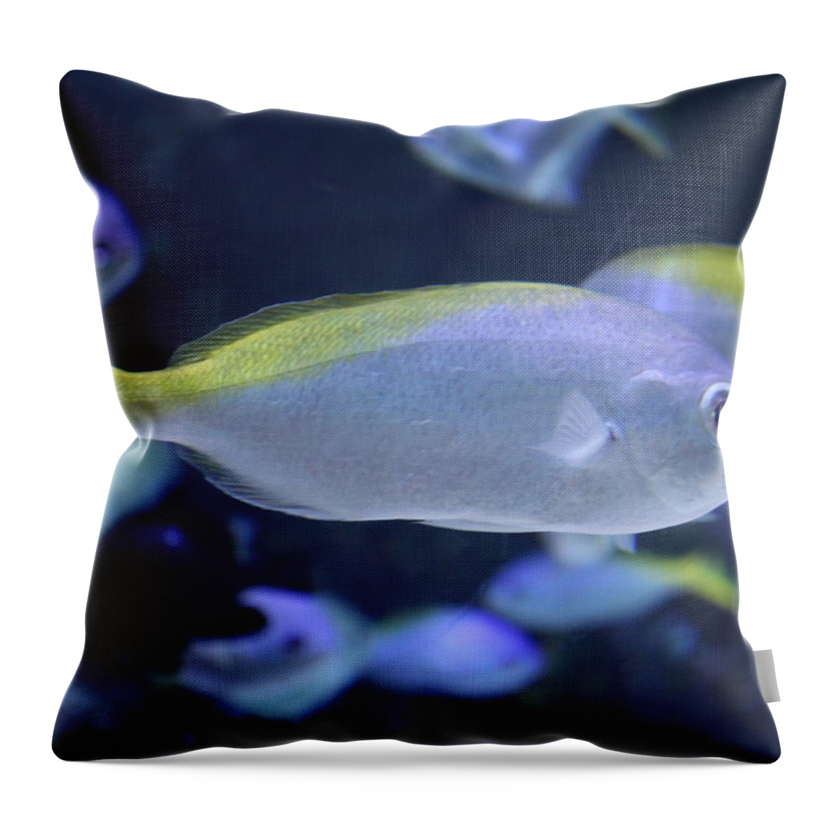 Aquarium Throw Pillow featuring the mixed media Tropical fish by Lauren Serene