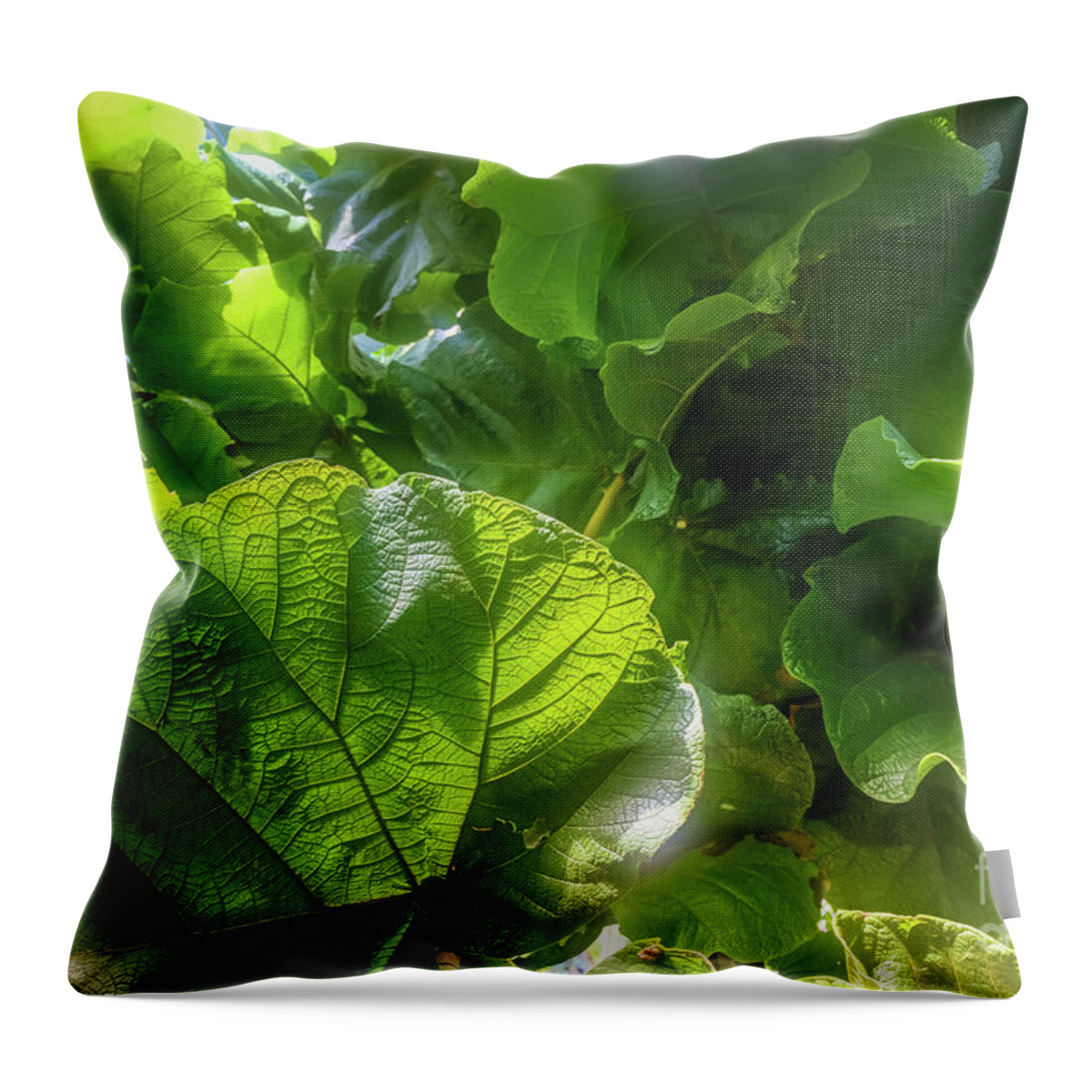 Tropical Forest By Marina Usmanskaya Throw Pillow featuring the photograph Tropical forest by Marina Usmanskaya