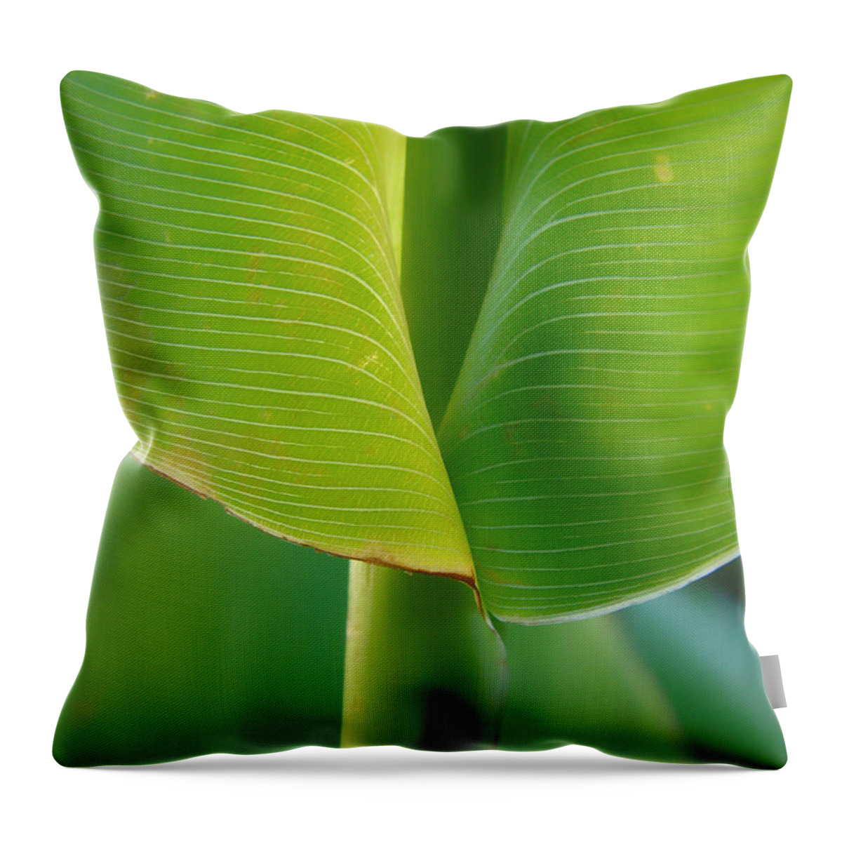 Tropical Throw Pillow featuring the photograph Tropical Green by Donna Blackhall