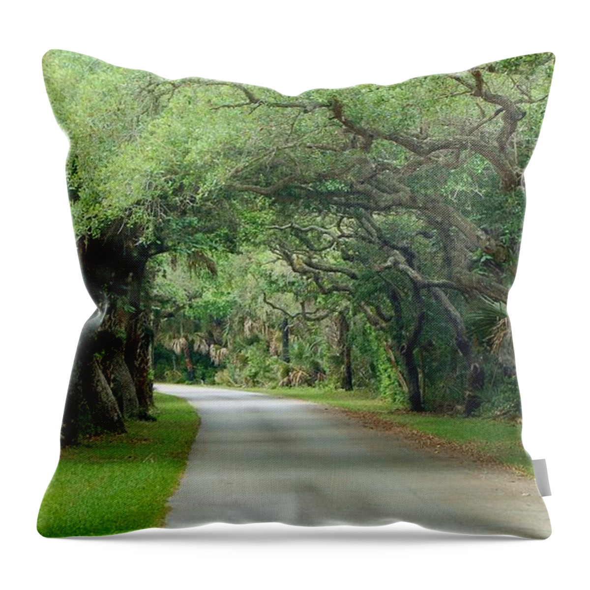 Trees Throw Pillow featuring the photograph Tropical Magic Forest by Christopher James