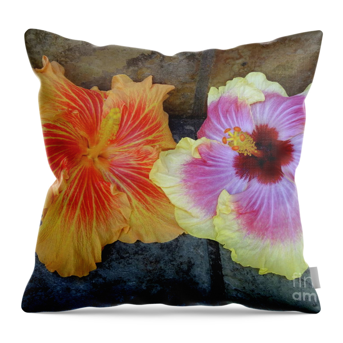Hibiscus Throw Pillow featuring the photograph Tropical Pair by Jenny Lee