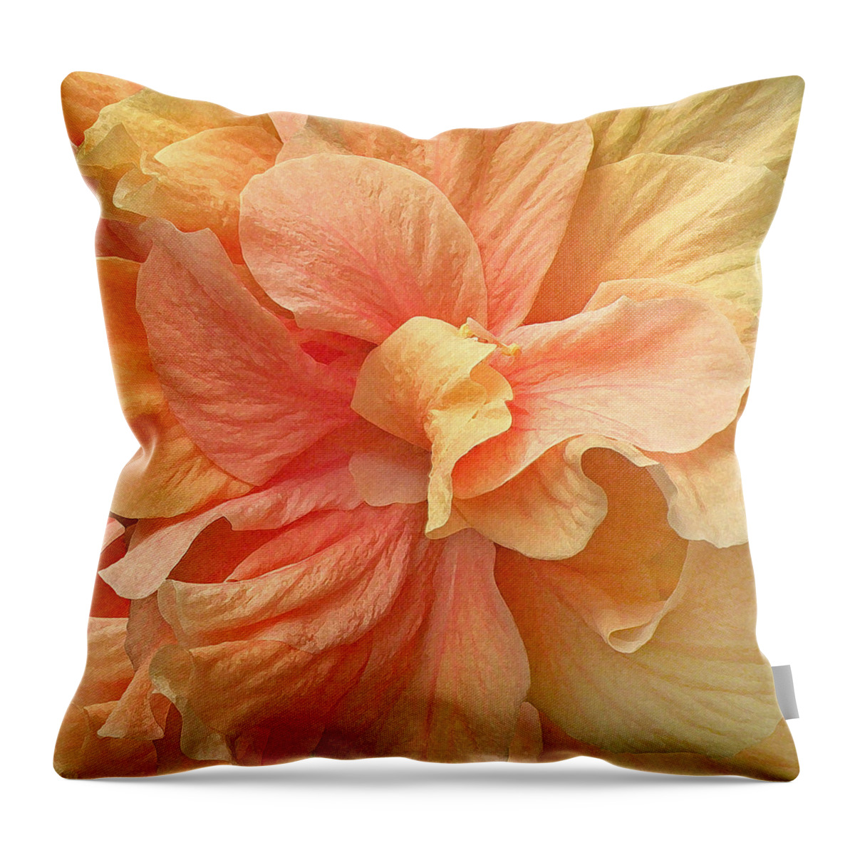 Photography Throw Pillow featuring the photograph Tropical Peach Hibiscus Flower by Deborah Smith