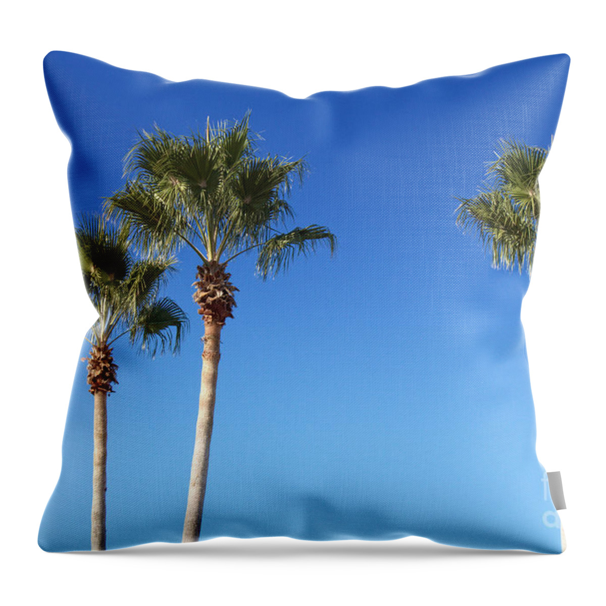 Trees Throw Pillow featuring the photograph Tropical Sky by Ella Kaye Dickey