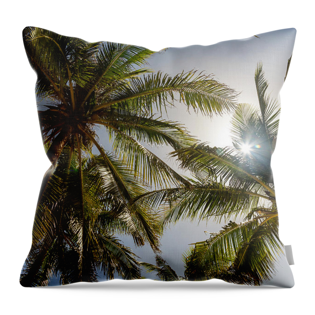 Coconut Throw Pillow featuring the photograph Tropical Sun by James BO Insogna