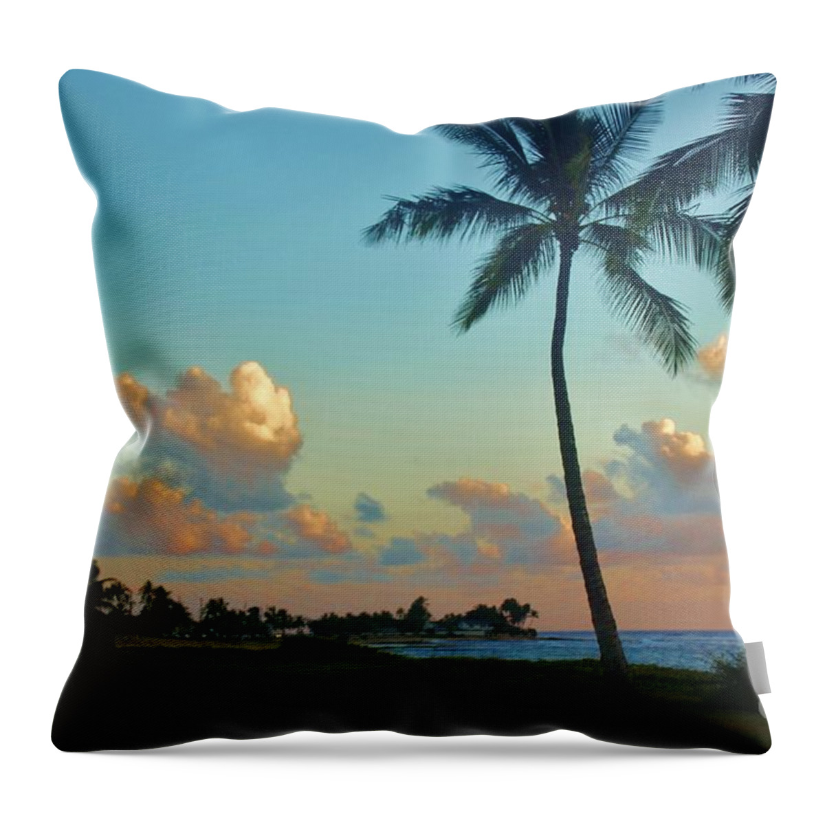 Tropical View Throw Pillow featuring the photograph Tropical View by Craig Wood
