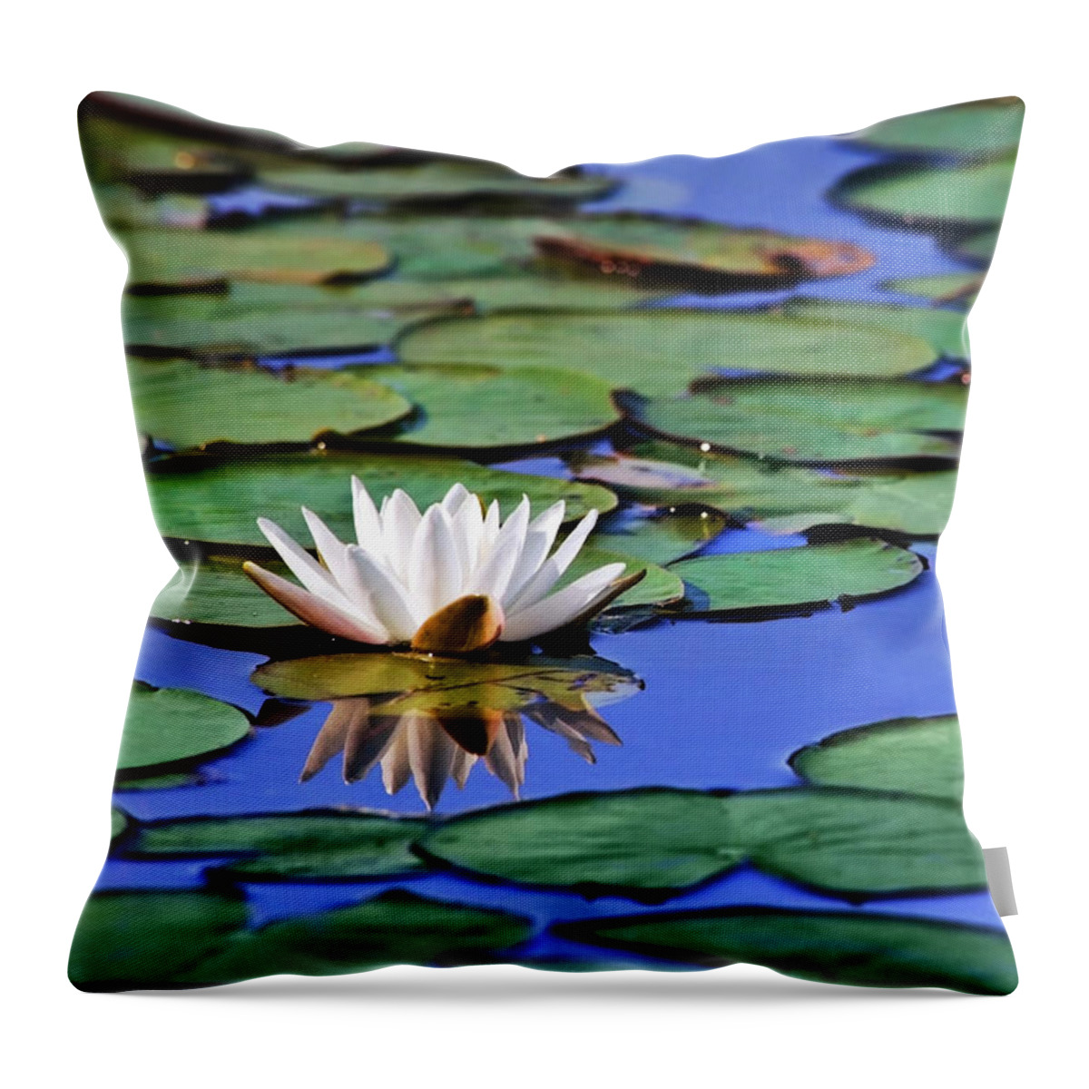 Water Lily Throw Pillow featuring the photograph Tropical Water Lily by Christina Rollo