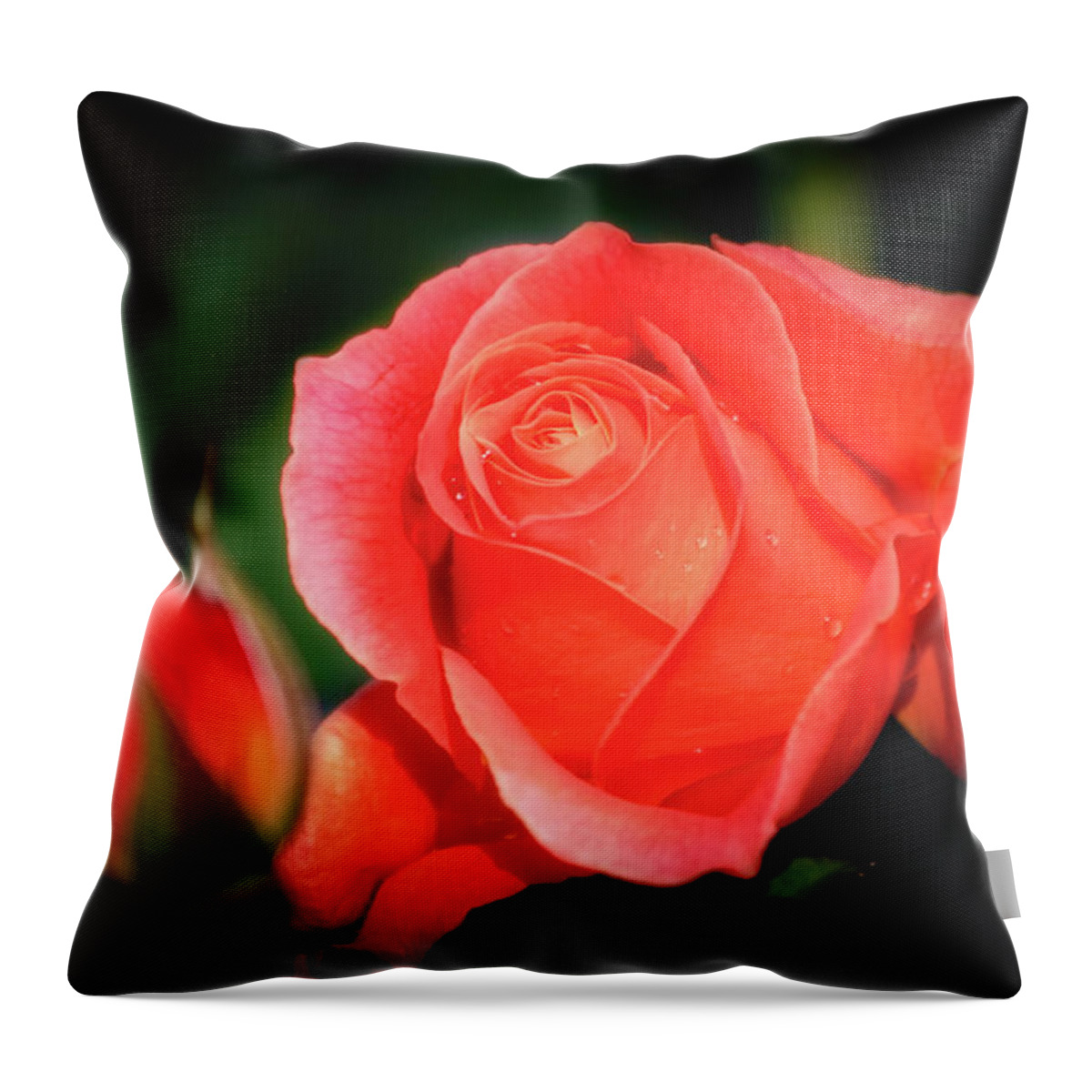 Flower Throw Pillow featuring the photograph Tropicana Rose by Albert Seger