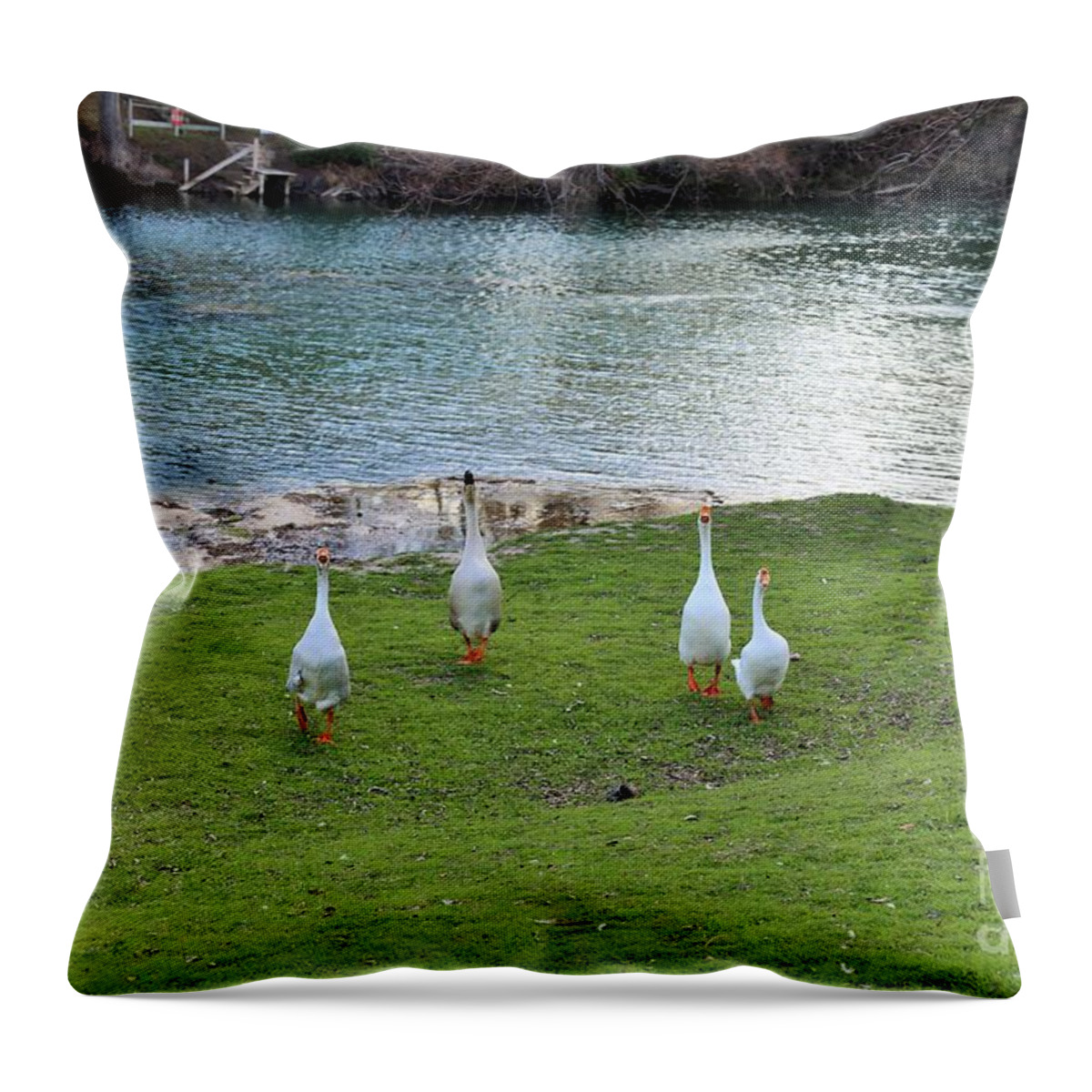  Throw Pillow featuring the photograph Trouble by Jeff Downs