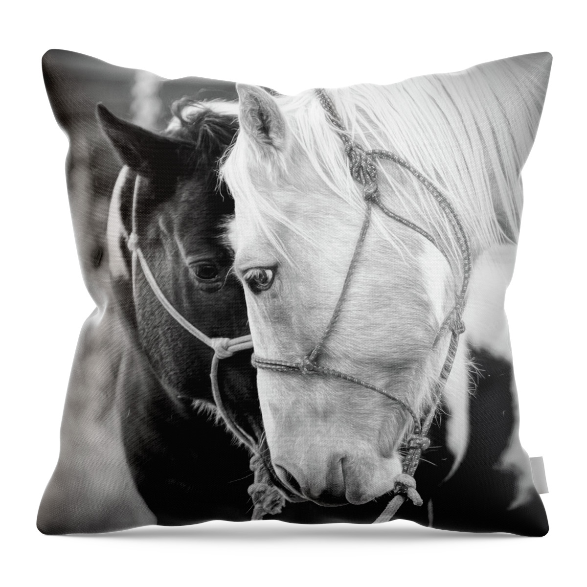 Horse Throw Pillow featuring the photograph True Friends by Sharon Jones