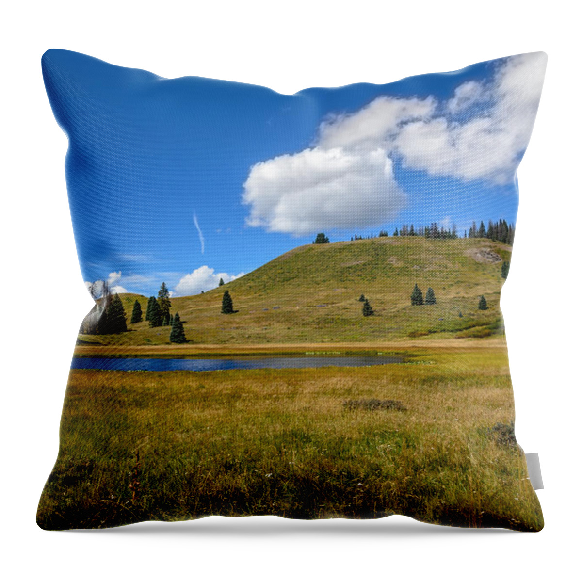 Trujillo Meadow - Colorado Throw Pillow featuring the photograph Trujillo Meadow - Colorado by Debra Martz