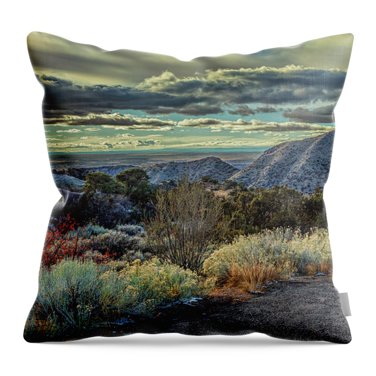 Landscape Throw Pillow featuring the photograph Truly the Land of Enchantment by Michael McKenney