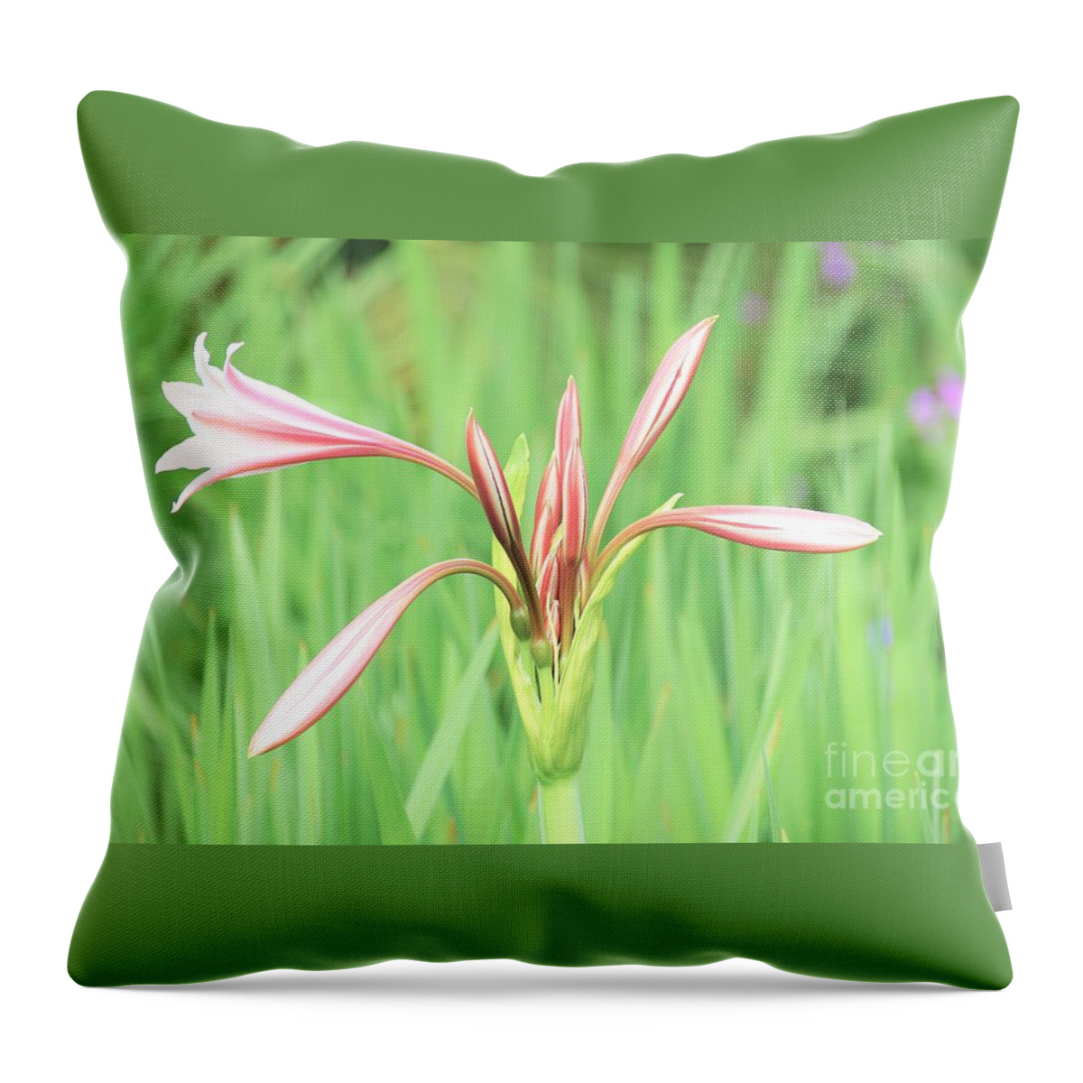 Flowers Throw Pillow featuring the photograph Trumpet by Merle Grenz
