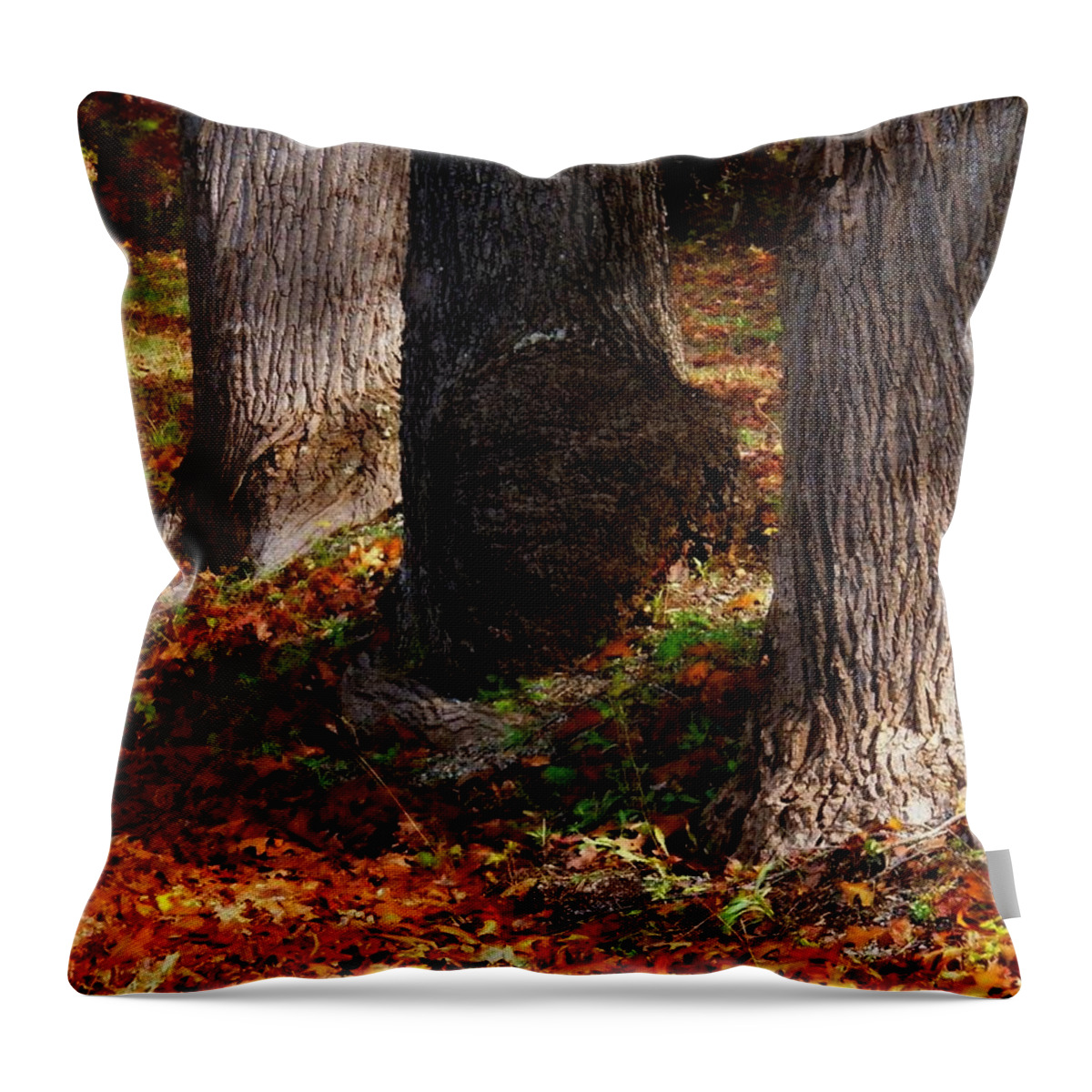 Autumn Throw Pillow featuring the photograph Trunk and Leaves by Joyce Kimble Smith