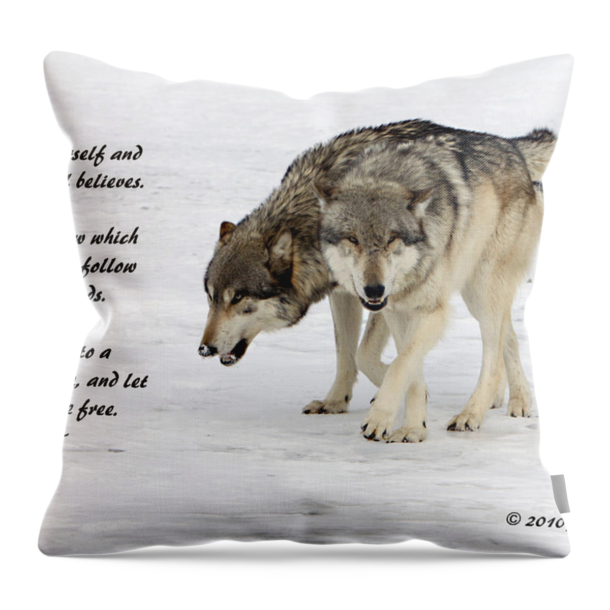 Expression Throw Pillow featuring the photograph Trust in Yourself by Shari Jardina