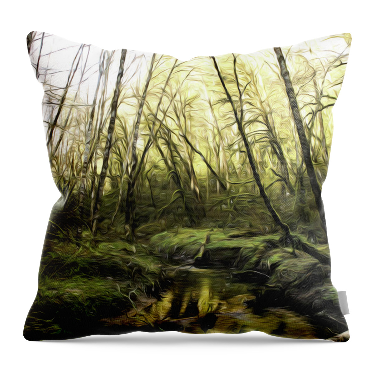 Pond Throw Pillow featuring the photograph Tryon Creek by Lorraine Baum