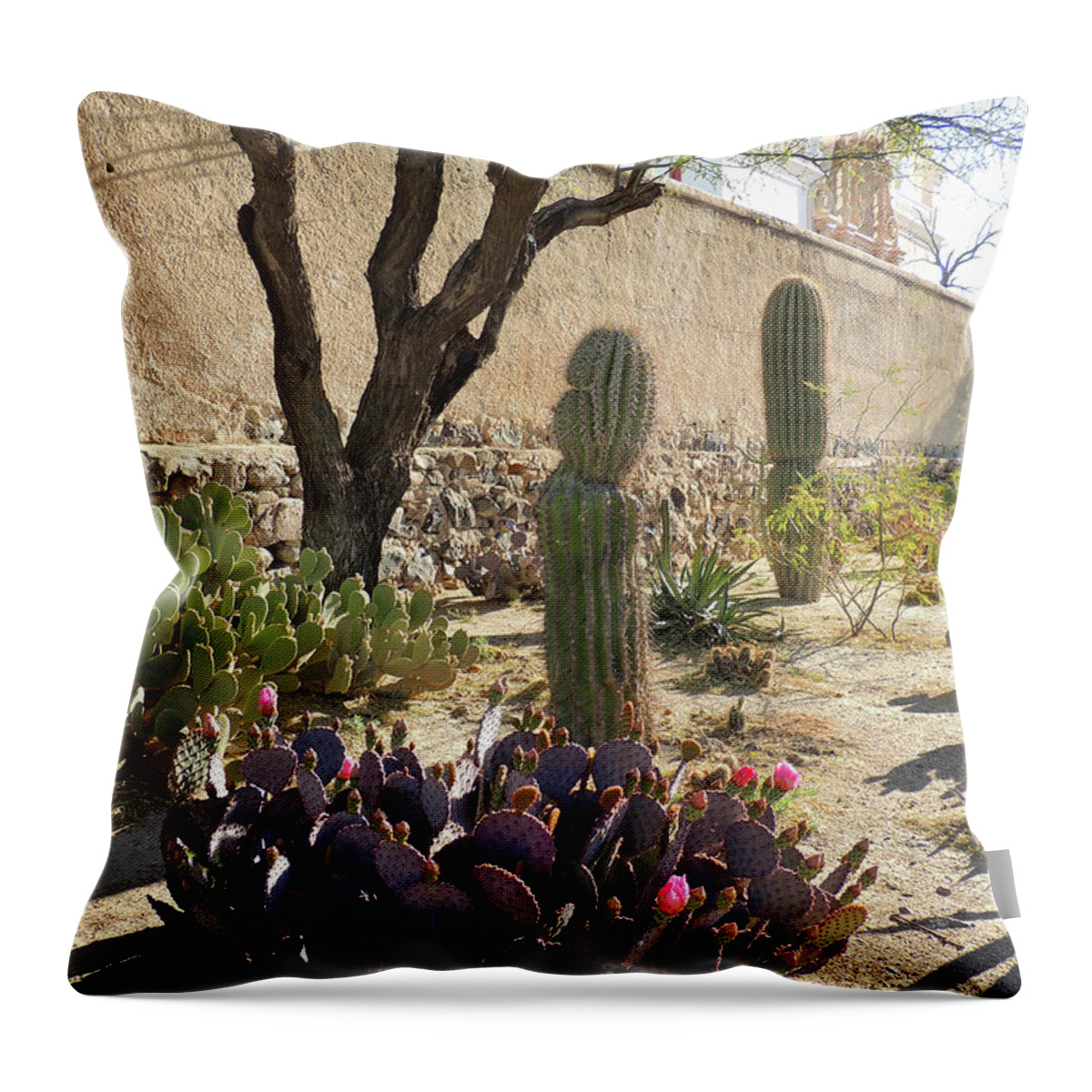 Blooms Throw Pillow featuring the photograph Tucson Morning by Gordon Beck