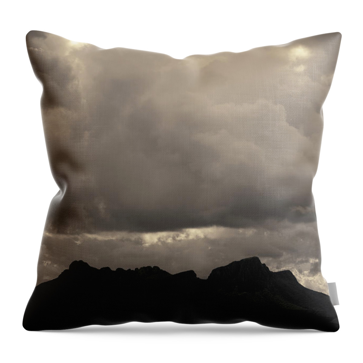 Tucson Throw Pillow featuring the photograph Tucson V Toned by David Gordon