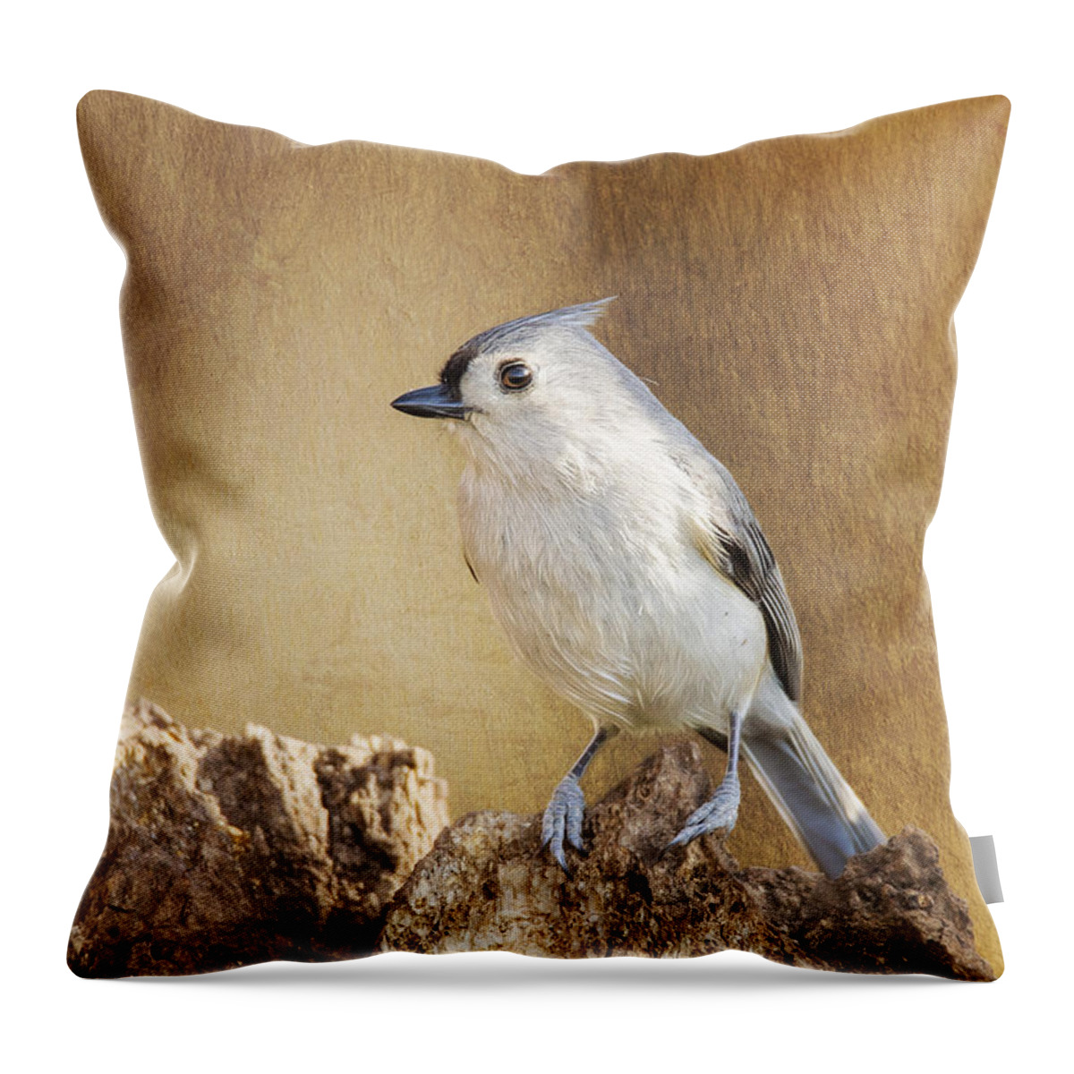 Baeolophus Throw Pillow featuring the photograph Tufted On Tree Bark by Bill and Linda Tiepelman