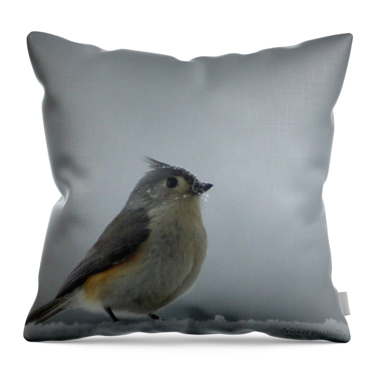 Snow Throw Pillow featuring the photograph Tufted Titmouse in the Snow by Cricket Hackmann