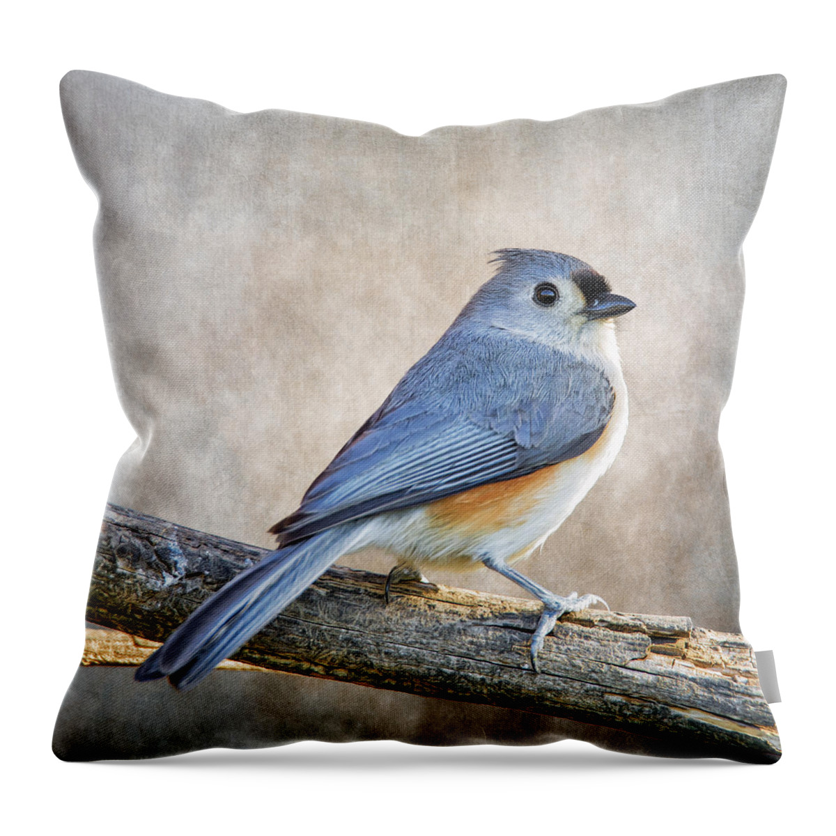 Baeolophus Throw Pillow featuring the photograph Tufty Strikes A Pose on Branch by Bill and Linda Tiepelman