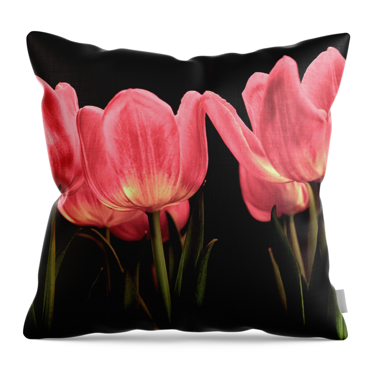 Red Tulip Throw Pillow featuring the photograph Tuilp by Dennis Dugan