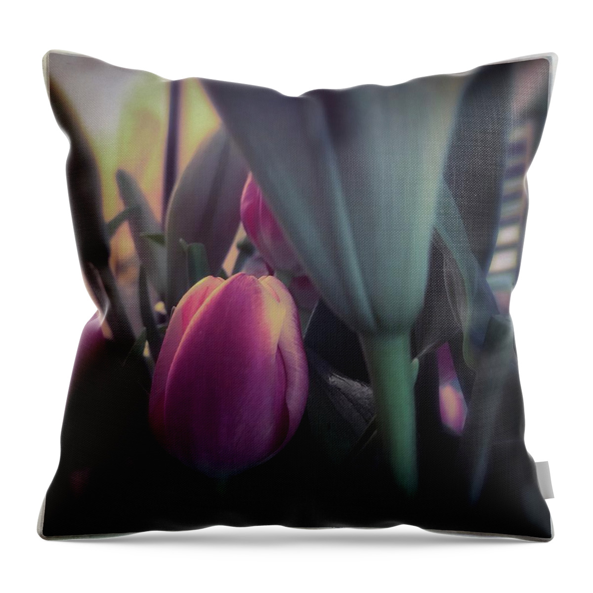 Tulip Throw Pillow featuring the photograph Tulip by Anne Thurston