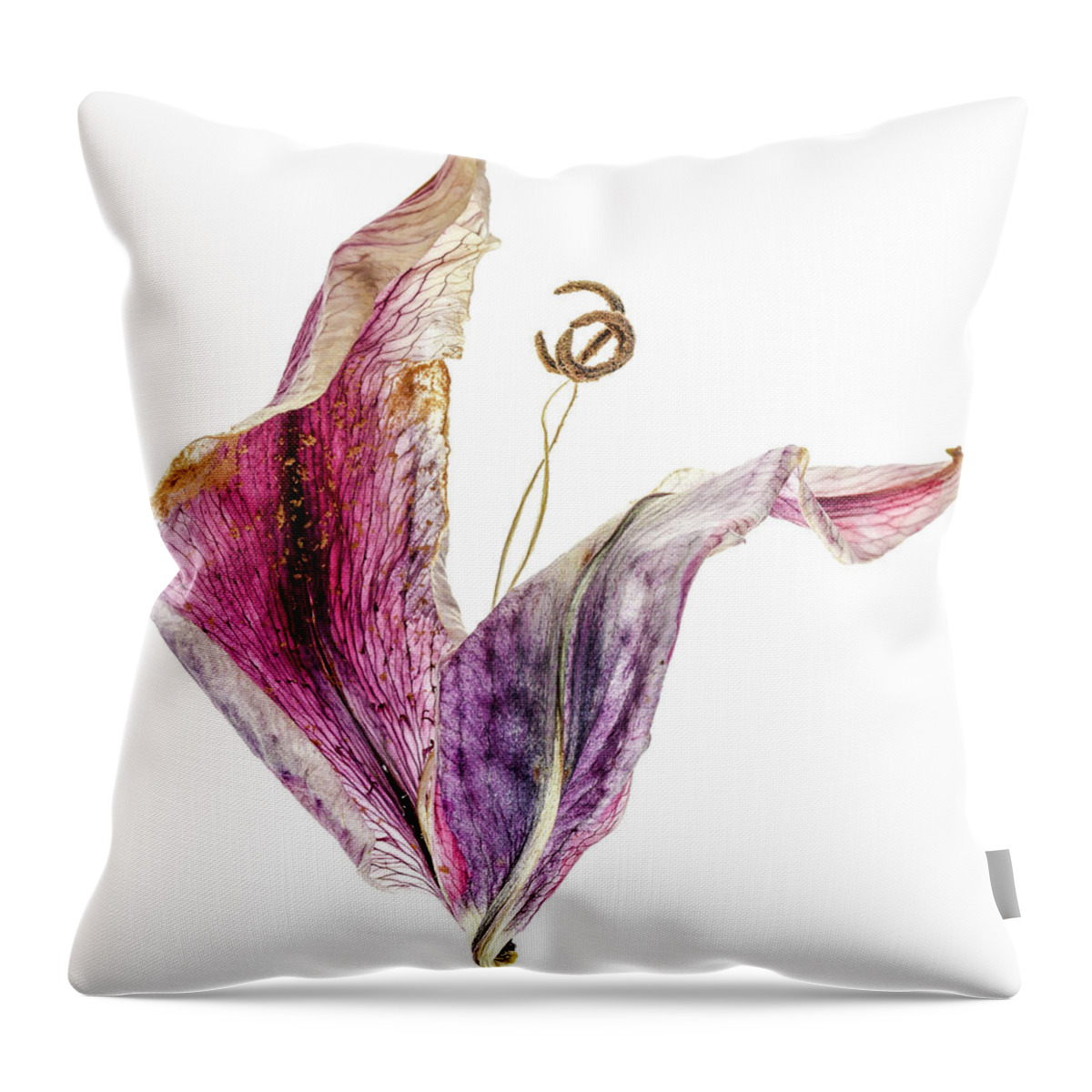 Tulip Throw Pillow featuring the photograph Tulip Dancer by Tony Locke