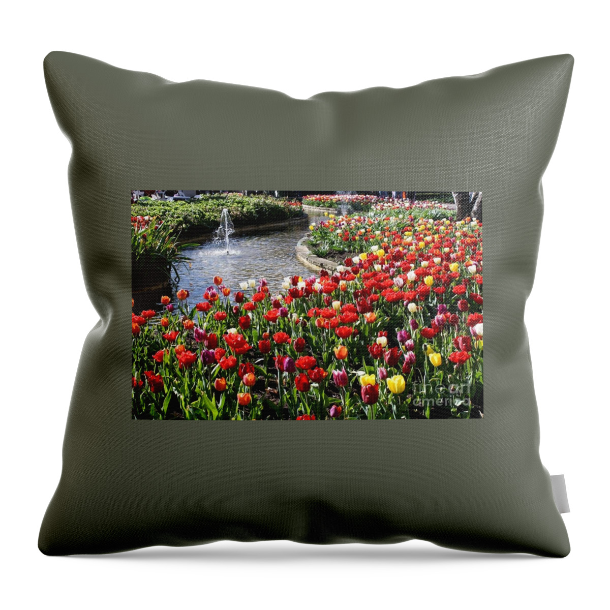 Bowral Tulip Festival Throw Pillow featuring the photograph Tulip Festival by Bev Conover