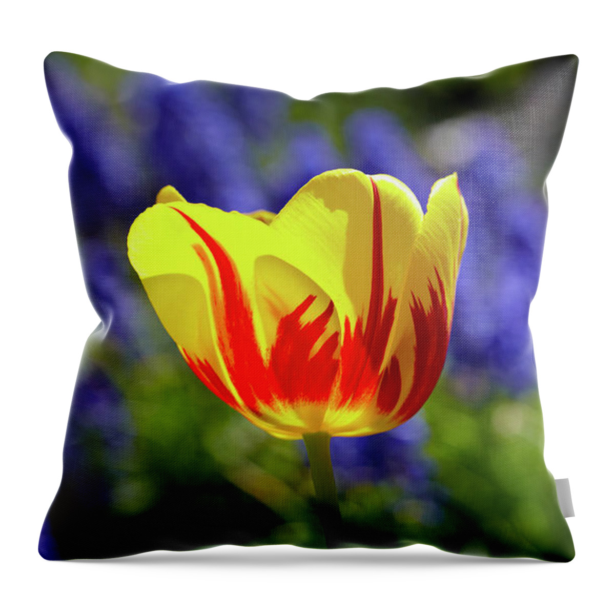Tulip Throw Pillow featuring the photograph Tulip Flame by Garden Gate magazine