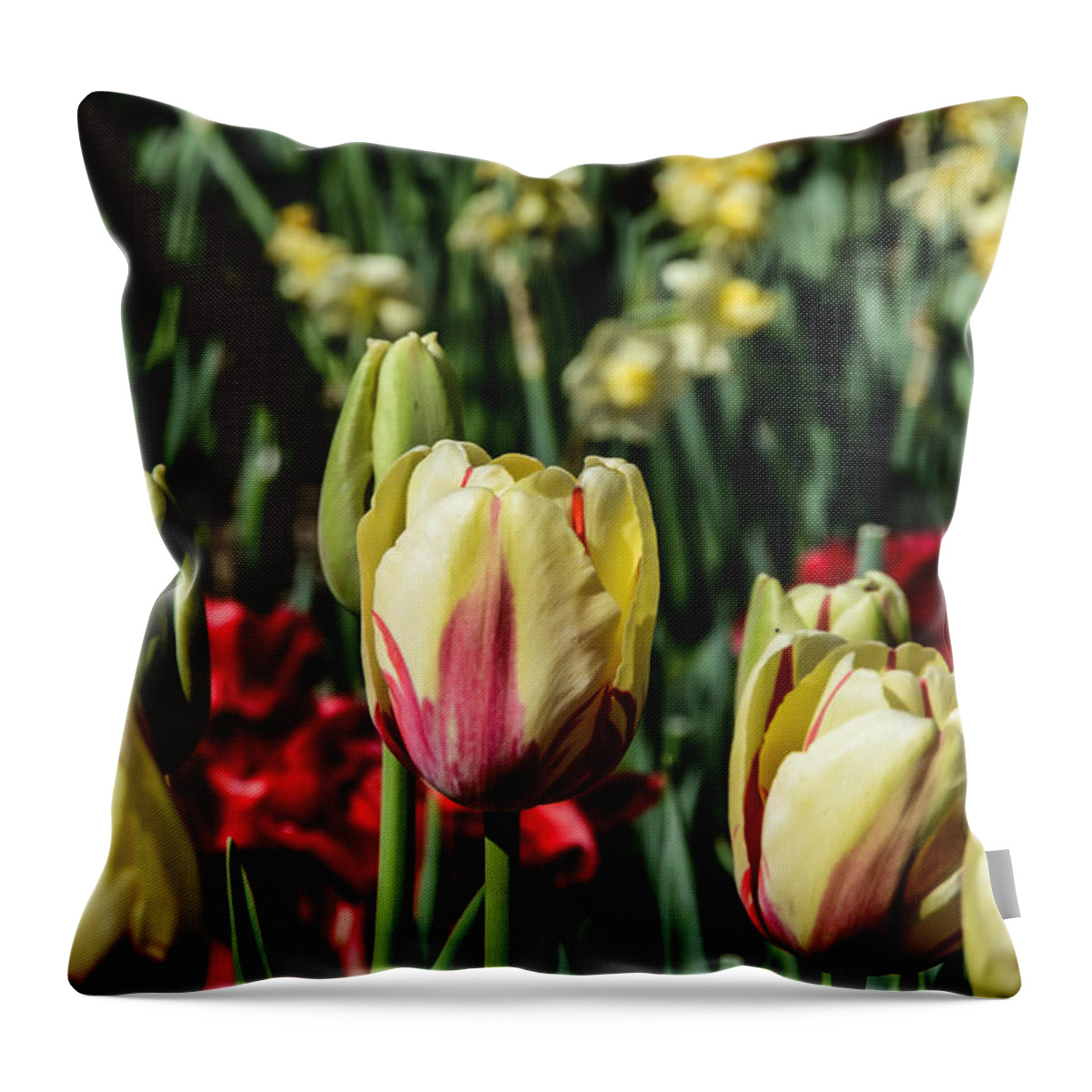 Landscape Throw Pillow featuring the photograph Tulip Garden by Chuck Brown