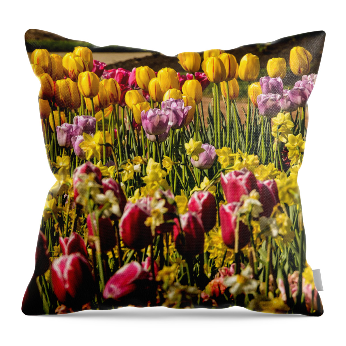 Landscape Throw Pillow featuring the photograph Tulip Spring by Chuck Brown