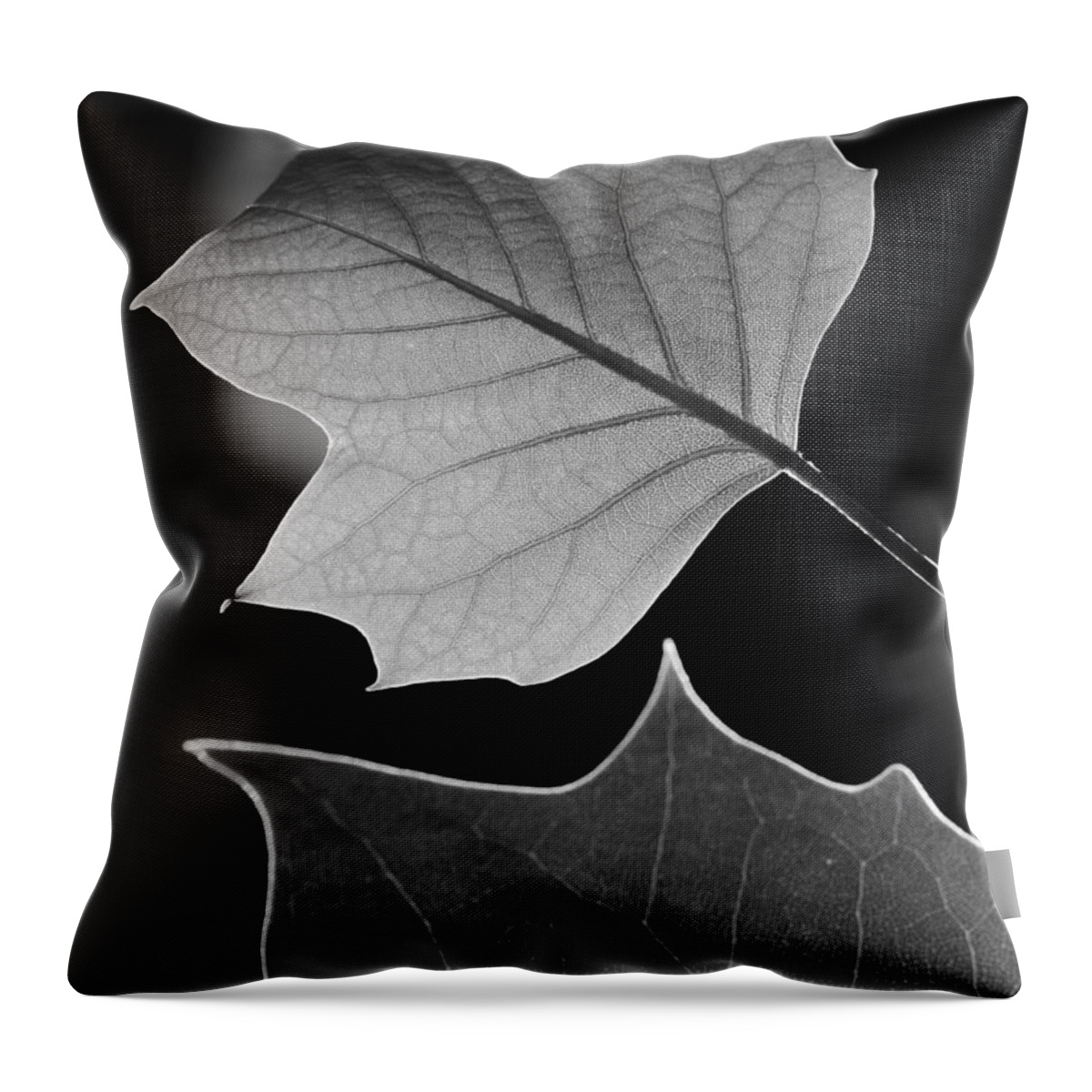 Jane Ford Throw Pillow featuring the photograph Tulip tree leaves competing for light by Jane Ford