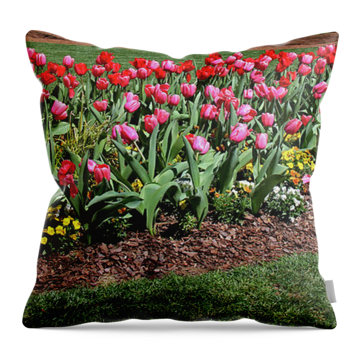 Tulips Throw Pillow featuring the photograph Tulips 4 by Richard Krebs