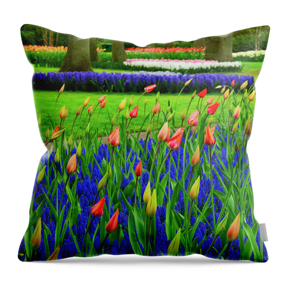 Tulip Throw Pillow featuring the photograph Tulips and bluebells by Anastasy Yarmolovich