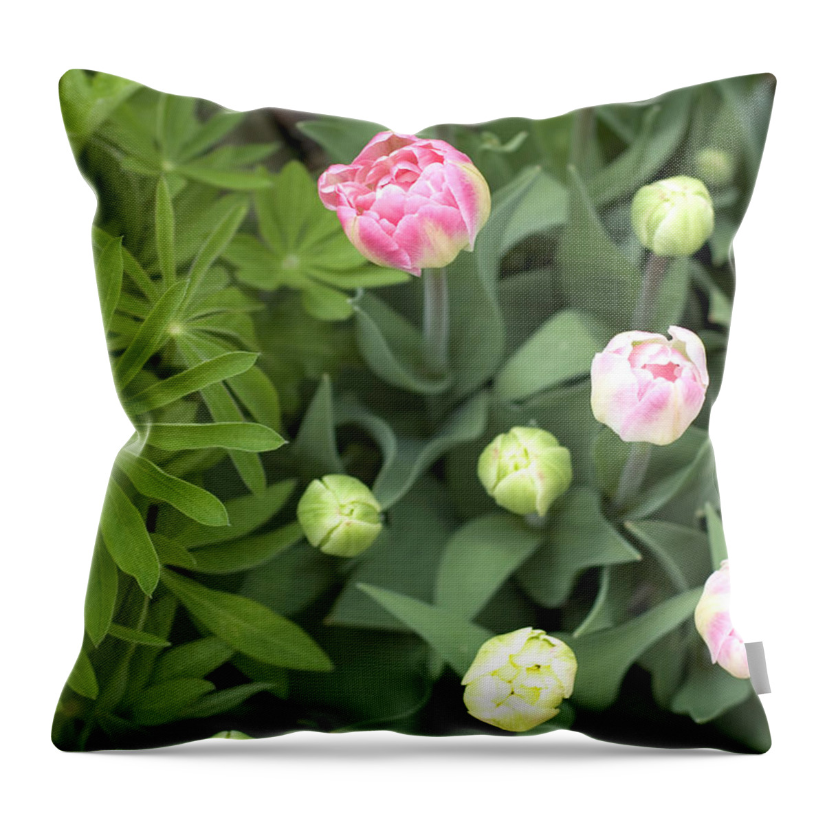 Vermont Throw Pillow featuring the photograph Tulips and Green by Monique Cousineau