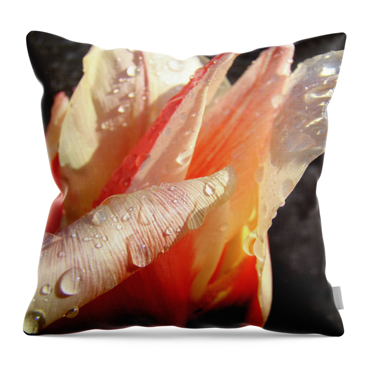 �tulips Artwork� Throw Pillow featuring the photograph TULIPS ARTWORK FLOWERS Floral Art Prints Spring Peach Tulip Flower Macro by Patti Baslee