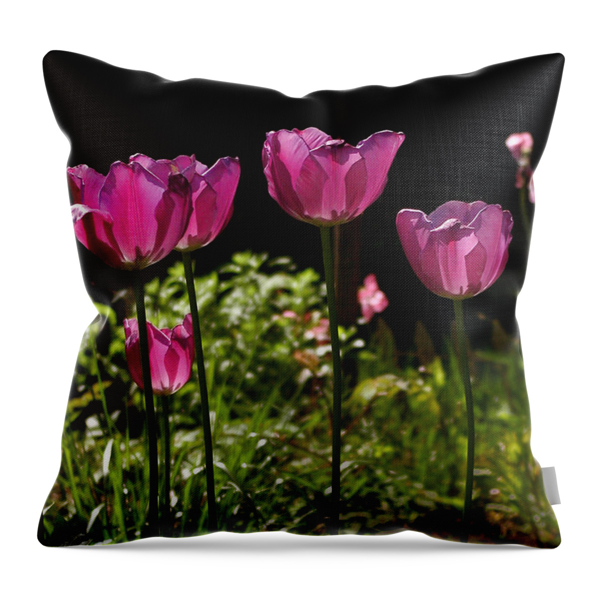 Tulips Throw Pillow featuring the photograph Tulips by Bill Cannon
