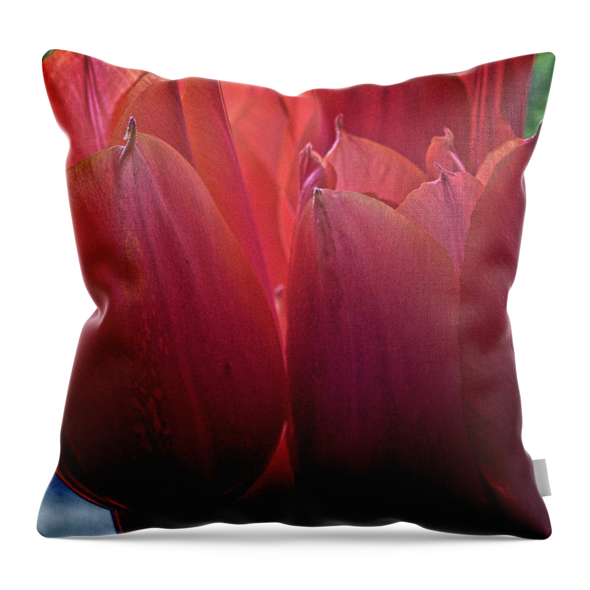  Flowers Throw Pillow featuring the digital art Tulips by Charles Muhle