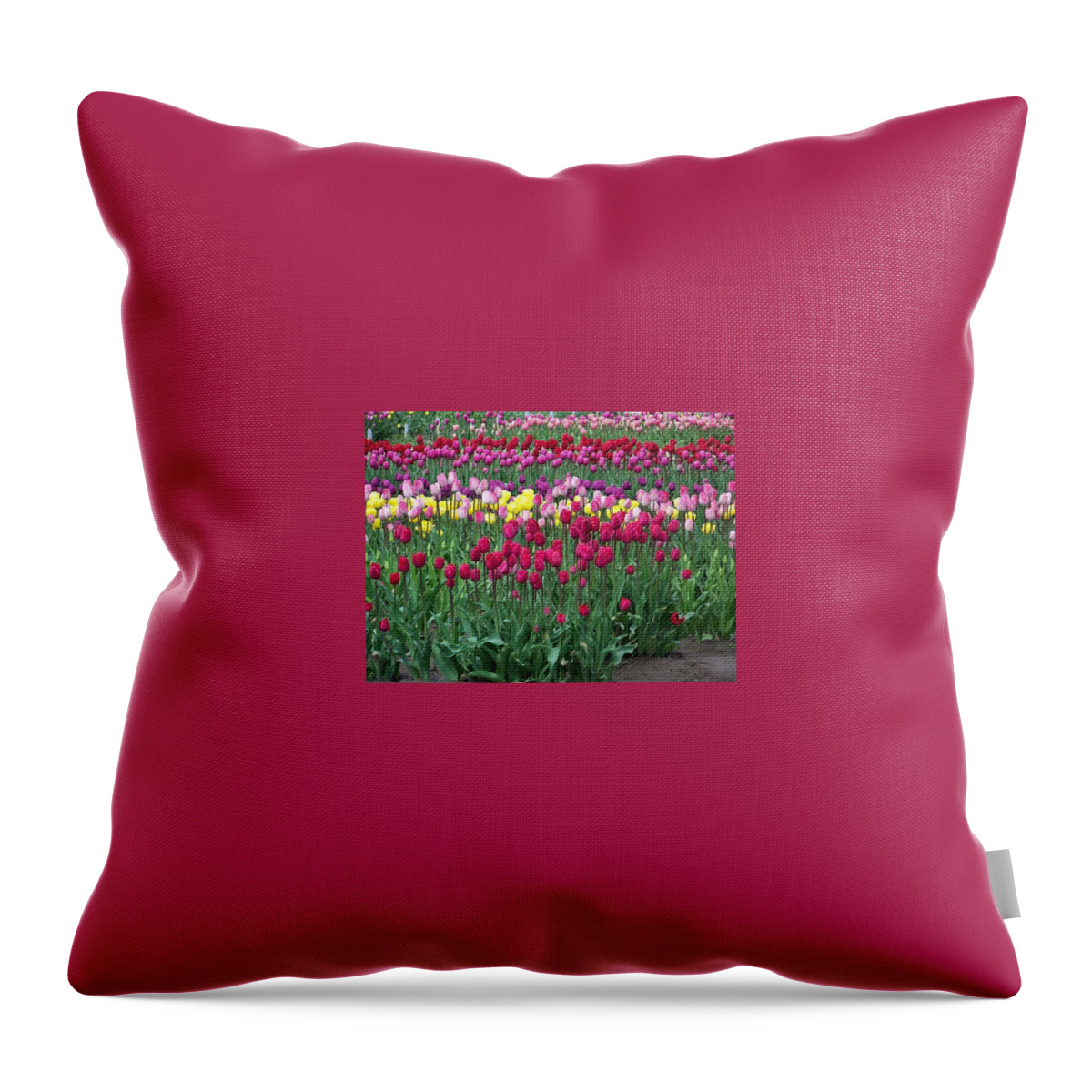 Tulips Throw Pillow featuring the photograph Tulips for Mom by Julie Rauscher