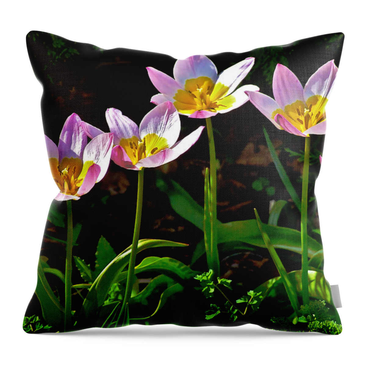 Tulips Throw Pillow featuring the photograph Tulips Meadow Garden by Janis Senungetuk