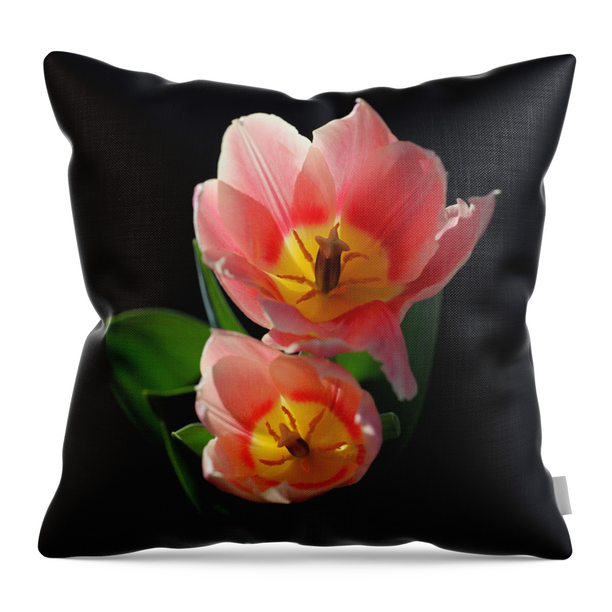 Tulips Throw Pillow featuring the photograph Tulips by Tammy Pool