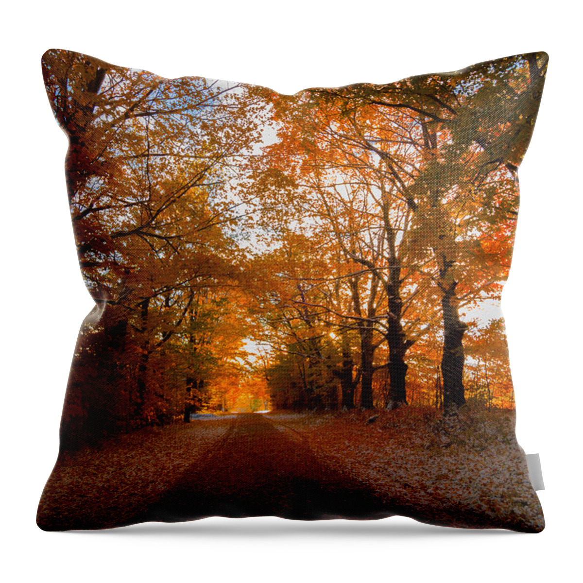 Trees Throw Pillow featuring the photograph Tunnel Through Morning Backlight by Tim Kirchoff