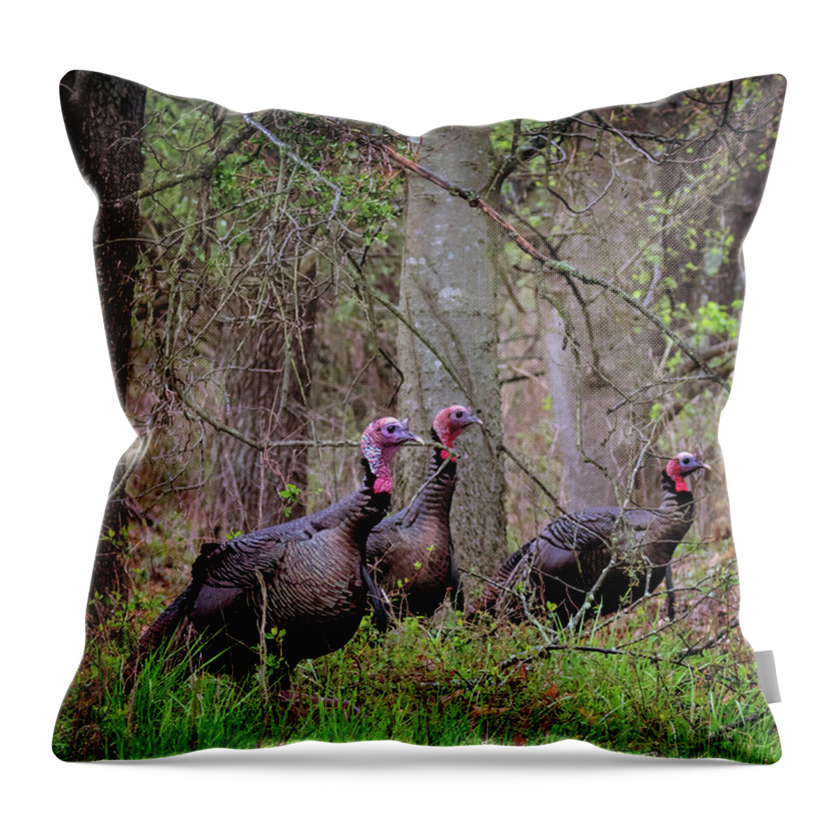 Turkey Throw Pillow featuring the photograph Turkey Hunting #1 by Susan Rissi Tregoning